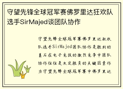 守望先锋全球冠军赛佛罗里达狂欢队选手SirMajed谈团队协作