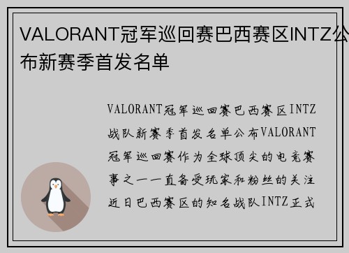 VALORANT冠军巡回赛巴西赛区INTZ公布新赛季首发名单
