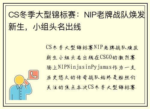 CS冬季大型锦标赛：NIP老牌战队焕发新生，小组头名出线