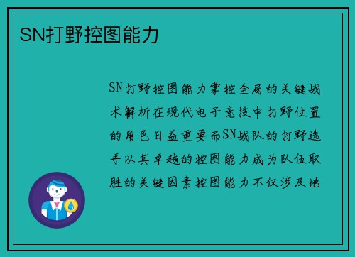 SN打野控图能力