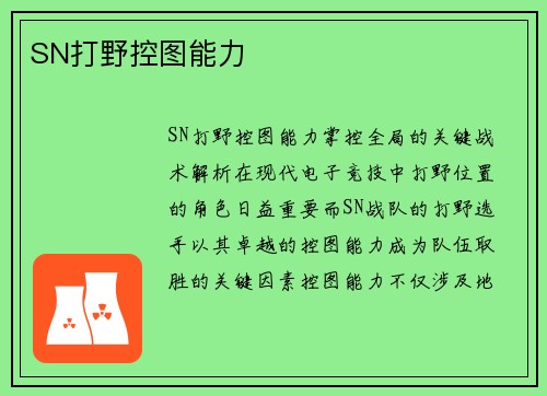 SN打野控图能力