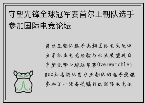 守望先锋全球冠军赛首尔王朝队选手参加国际电竞论坛